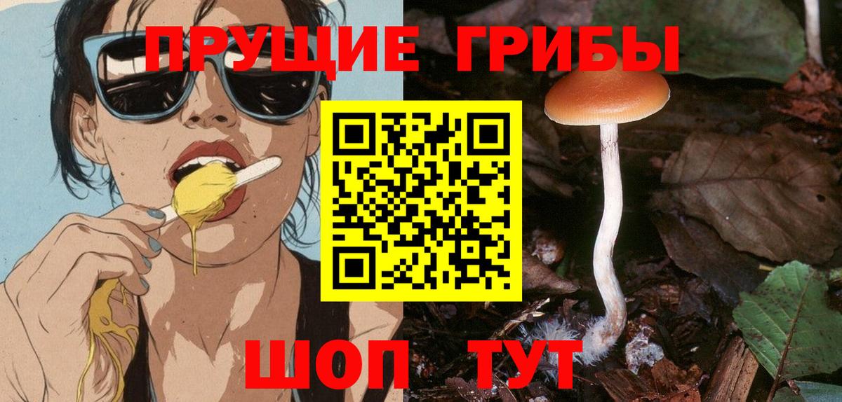Псилоцибиновые грибы мицелий Майкоп